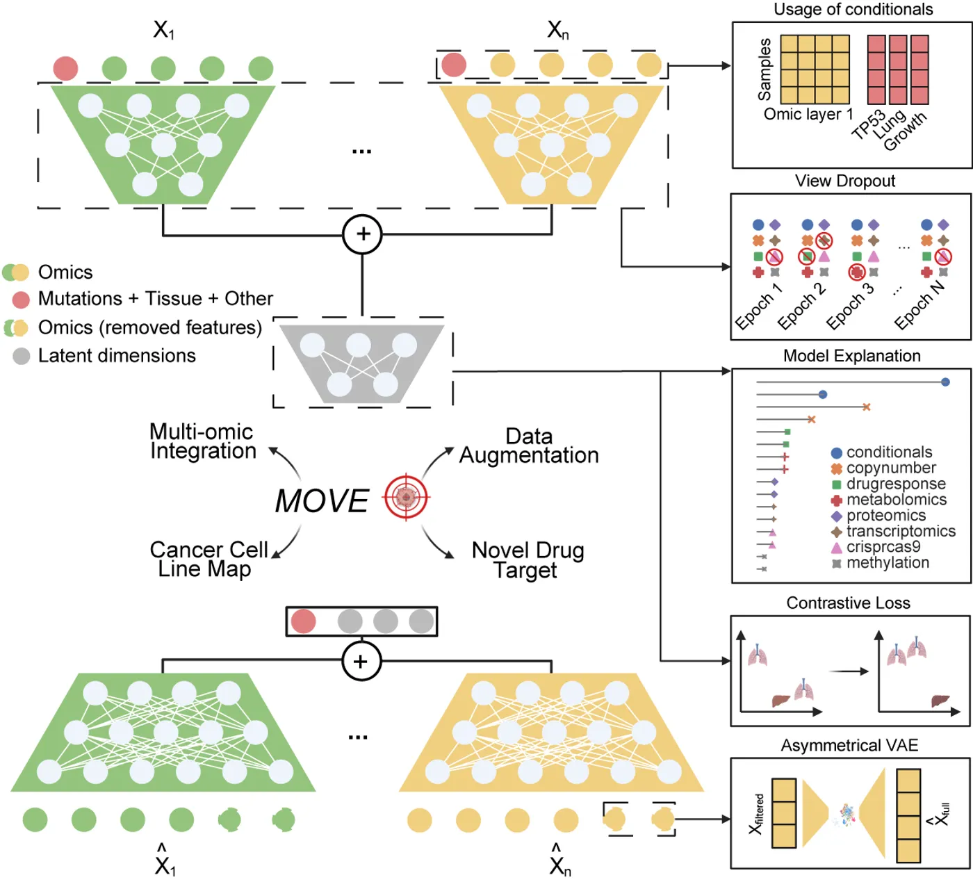 Synthetic augmentation of cancer cell line multi-omic datasets using unsupervised deep learning