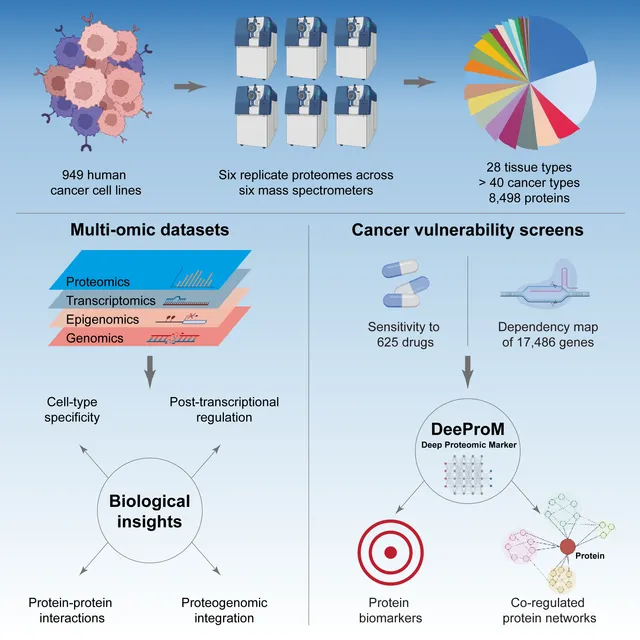 Pan-cancer proteomic map of 949 human cell lines reveals principles of cancer vulnerabilities